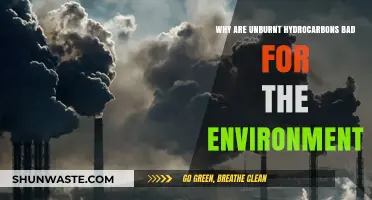 Unburnt Hydrocarbons: Environmental Impact and Why They Matter