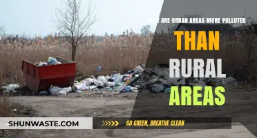 Urban Pollution vs. Rural Air: Uncovering the Causes of City Smog