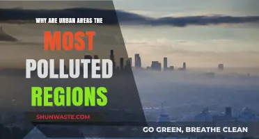Urban Pollution Crisis: Uncovering the Causes Behind City Smog