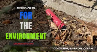 Vaping's Environmental Impact: Uncovering the Hidden Ecological Costs