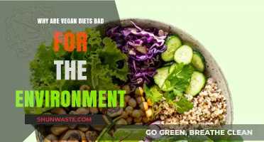 Vegan Diets' Hidden Environmental Costs: Myths vs. Reality Explored