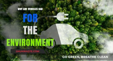 Vehicles' Environmental Impact: Pollution, Emissions, and Ecological Consequences Explained