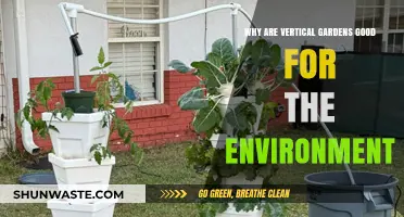 Vertical Gardens: Eco-Friendly Solutions for Greener Urban Spaces