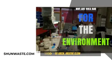 VOCs and Environmental Harm: Understanding Their Impact on Our Planet