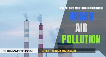 VOCs: Uncovering Urban Air Pollution's Secrets