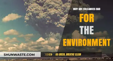 Volcanic Eruptions: Environmental Impacts and Long-Term Ecological Consequences