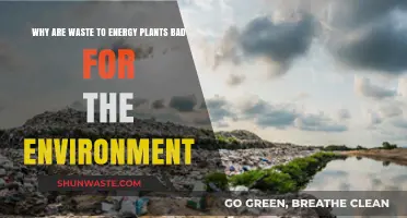 Waste-to-Energy Plants: Environmental Harm and Sustainable Alternatives