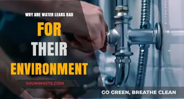 Water Leaks: Environmental Hazards and Their Hidden Ecological Impact