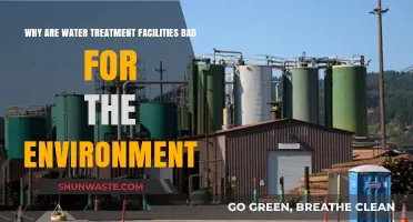 Water Treatment Facilities: Unseen Environmental Costs and Ecological Impacts