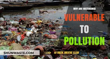 Understanding Watershed Vulnerability: Pollution Threats and Environmental Impacts