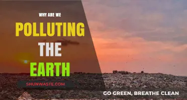 Why Are We Polluting Our Planet? Uncovering the Causes and Consequences
