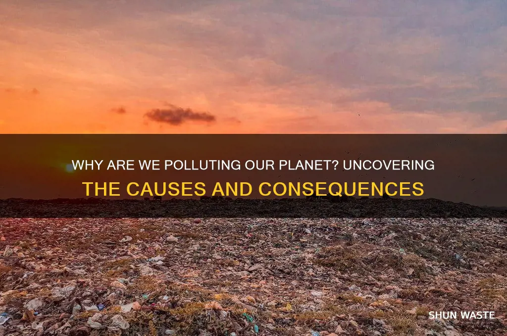 why are we polluting the earth