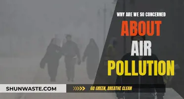 Air Pollution: A Global Concern for Our Health