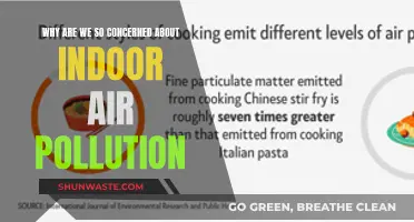 Air Quality Alert: Indoor Pollution's Health Impact