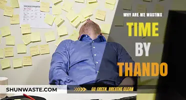The Futility of Procrastination: Why We Waste Time by Thando