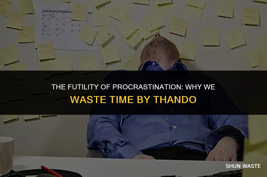 why are we wasting time by thando