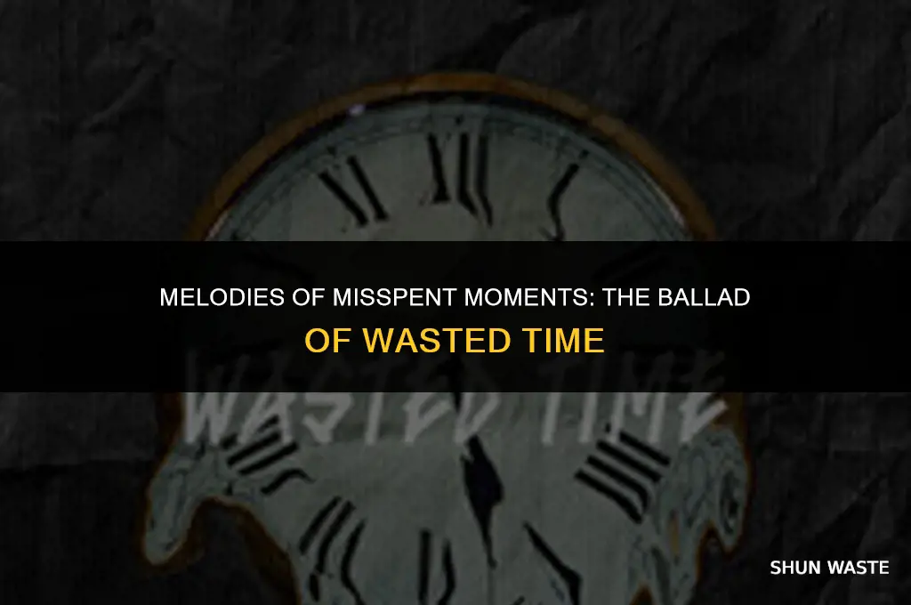 why are we wasting time song