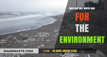 Wet Wipes' Environmental Impact: Uncovering Their Hidden Ecological Harm