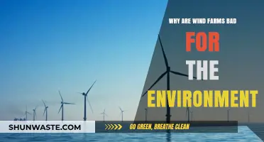Wind Farms' Hidden Costs: Environmental Impacts and Sustainability Concerns