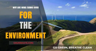 Wind Farms: Clean Energy, Green Future, and Environmental Benefits Explained