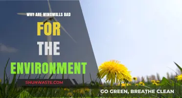 Windmills' Environmental Impact: Uncovering Hidden Costs and Ecological Concerns