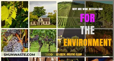 Wine Bottles' Environmental Impact: Uncovering the Hidden Ecological Costs