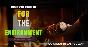 Wood Burners' Environmental Impact: Pollution, Deforestation, and Climate Concerns