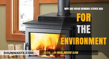 Wood Burning Stoves: Environmental Impact and Sustainable Alternatives Explored