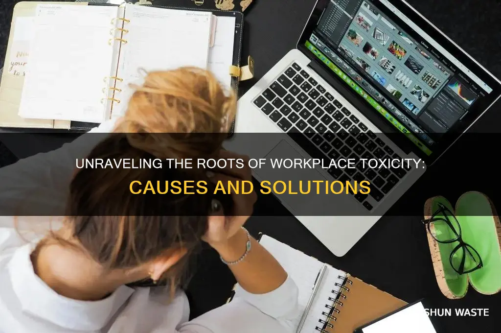 why are work environments so toxic