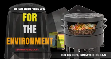Worm Farms: Eco-Friendly Solutions for Sustainable Soil and Waste Reduction