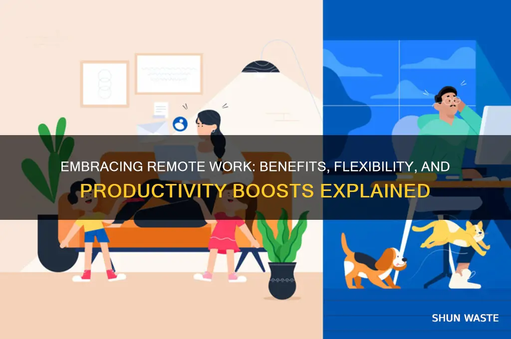 why are you wanting to work in a remote environment