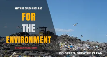 Ziploc Bags' Environmental Impact: Uncovering Their Hidden Ecological Footprint