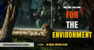 Zoos' Environmental Impact: Harmful Practices and Unsustainable Ecosystems Explained