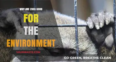 Zoos: Unsung Heroes in Conservation and Environmental Protection
