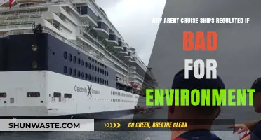 Cruise Ships' Environmental Impact: Why Lack of Regulation Persists