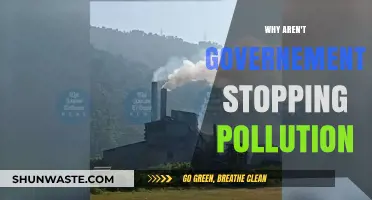 Why Governments Fail to Act Against Pollution: Uncovering the Inaction