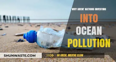 Neglected Waters: Why Nations Ignore Ocean Pollution Investment