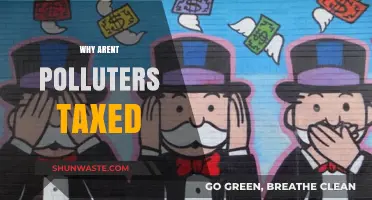 Why Polluters Escape Taxation: Uncovering the Environmental Cost Gap