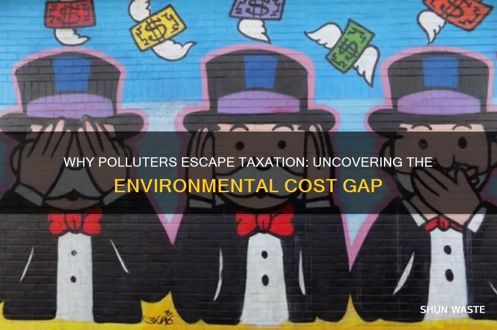 why arent polluters taxed