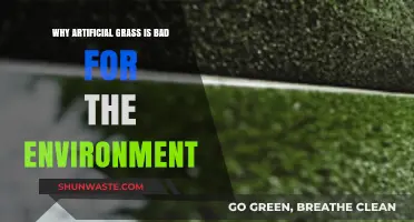 Artificial Grass: Uncovering Its Hidden Environmental Costs and Impact