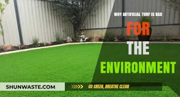 Artificial Turf's Hidden Costs: Environmental Impacts and Sustainability Concerns