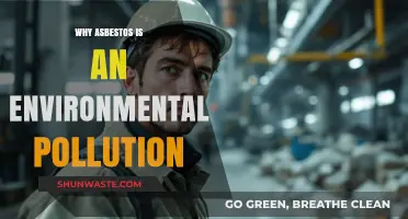 Asbestos: A Silent Environmental Pollutant Threatening Our Planet's Health