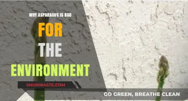Asparagus' Hidden Environmental Costs: A Sustainable Food Choice Dilemma