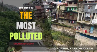 Baguio's Pollution Crisis: Uncovering the City's Environmental Decline