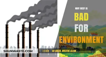 Beef's Environmental Impact: How Meat Consumption Harms Our Planet