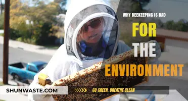 Beekeeping's Dark Side: Environmental Harms and Unsustainable Practices