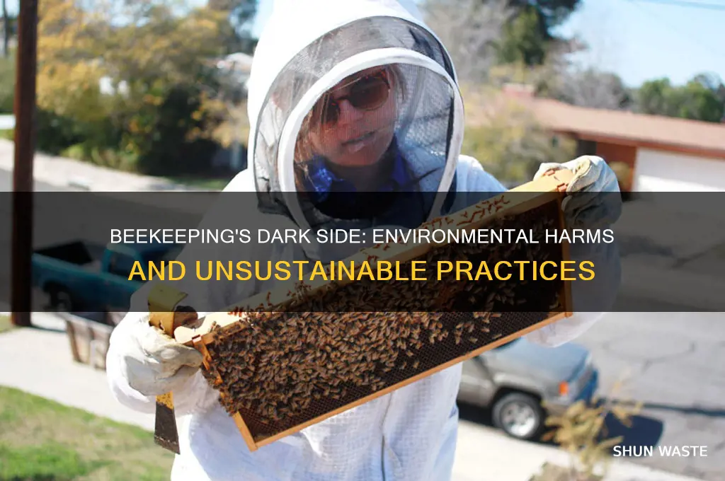why beekeeping is bad for the environment