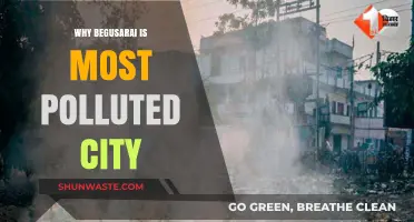 Begusarai's Pollution Crisis: Uncovering the Causes of Its Toxic Air
