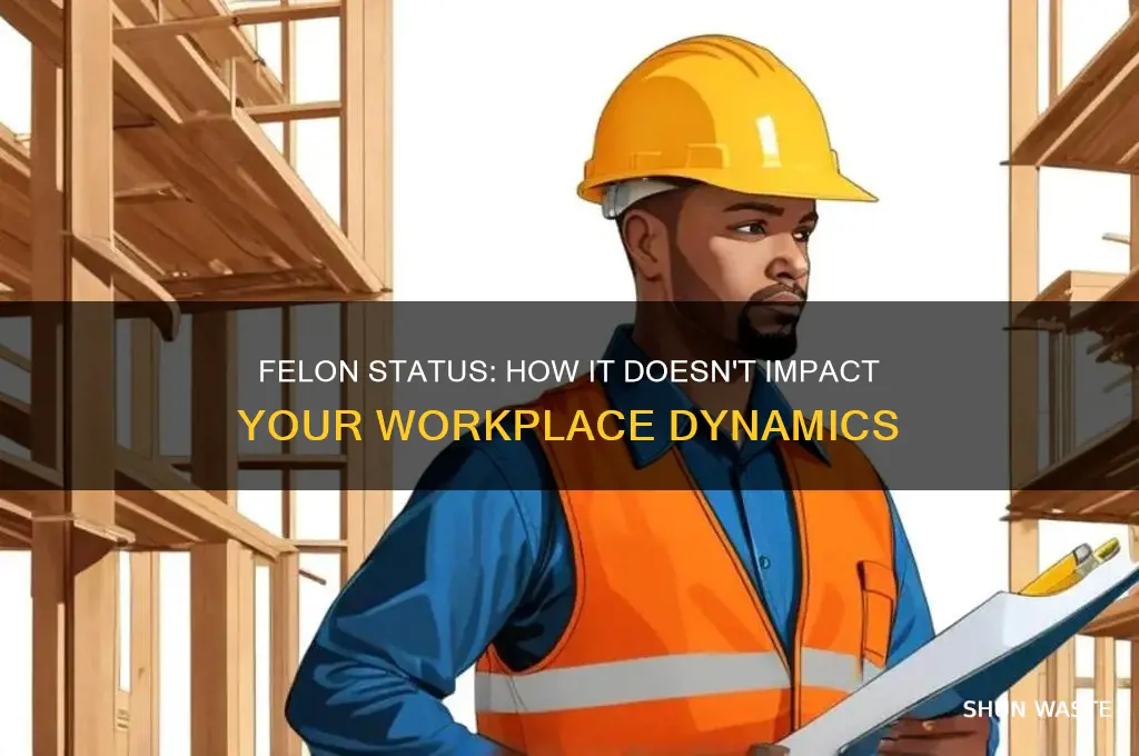 why being a felon does not affect your work environment