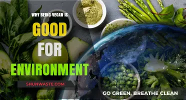 Veganism's Eco-Impact: How Plant-Based Diets Benefit Our Planet